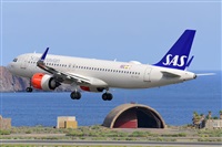 Miguel A. gueda Rguez.  (CANARY ISLANDS SPOTTING). Click to see full size photo