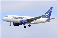 Miguel A. gueda Rguez.  (CANARY ISLANDS SPOTTING). Click to see full size photo