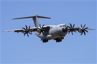 ©Adolfo Bento - Gran Canaria Spotters. Click to see full size photo ©Adolfo Bento - Gran Canaria Spotters. Click to see full size photo