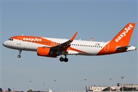 Alfonso Sols - Asociacin Canary Islands Spotting. Click to see full size photo