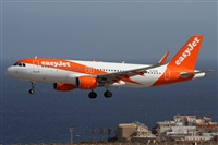 ©Alfonso Solís - Asociación Canary Islands Spotting. Click to see full size photo ©Alfonso Solís - Asociación Canary Islands Spotting. Click to see full size photo