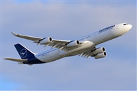 Miguel A. gueda Rguez.  (CANARY ISLANDS SPOTTING). Click to see full size photo