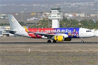 Miguel A. gueda Rguez.  (CANARY ISLANDS SPOTTING). Haz click para ampliar
