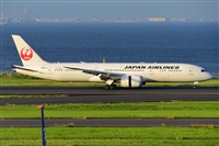 Miguel A. gueda Rguez.  (CANARY ISLANDS SPOTTING). Haz click para ampliar
