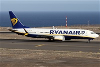 ©Alfonso Solís - Asociación Canary Islands Spotting. Click to see full size photo ©Alfonso Solís - Asociación Canary Islands Spotting. Click to see full size photo