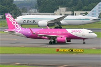 Miguel A. gueda Rguez.  (CANARY ISLANDS SPOTTING). Click to see full size photo
