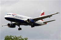 Alfonso Sols - Asociacin Canary Islands Spotting. Click to see full size photo
