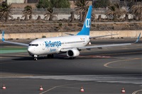 ©Adolfo Bento - Gran Canaria Spotters. Click to see full size photo ©Adolfo Bento - Gran Canaria Spotters. Click to see full size photo