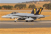 ©Juan Ojados. Click to see full size photo ©Juan Ojados. Click to see full size photo