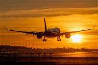 ©Jose M. Deza. Click to see full size photo ©Jose M. Deza. Click to see full size photo