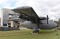 �Luis Mart�n Garcia. AIRE.org. Click to see full size photo