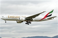 �Sergio Gonz�lez. Click to see full size photo