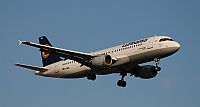Rubn Gil - Noisy Spotters. Click to see full size photo