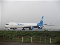 Daniel Vilar - Canary Islands Spotting. Click to see full size photo