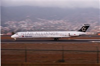 Gerardo A. Prez   Canary Islands Spotting. Click to see full size photo
