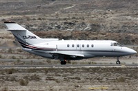 Ayoze Santana Mendez - Canary Islands Spotting. Click to see full size photo