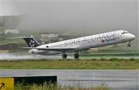 ©Caledonian_B.Cal. Click to see full size photo ©Caledonian_B.Cal. Click to see full size photo
