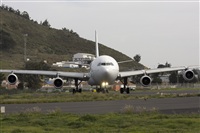 Ayoze Santana Mendez - Canary Islands Spotting. Click to see full size photo