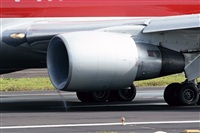 Gerardo A. Prez   Canary Islands Spotting. Click to see full size photo