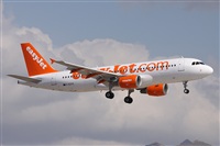 Alfonso Sols - Asociacin Canary Islands Spotting. Click to see full size photo