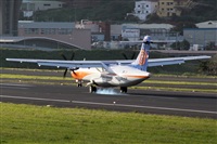 Nacho Rodriguez - Canary Islands Spotting. Click to see full size photo