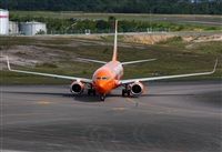 Fabio Duarte - Manaus Spotting Team. Click to see full size photo