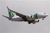 ©Alfonso Solís - Asociación Canary Islands Spotting. Click to see full size photo ©Alfonso Solís - Asociación Canary Islands Spotting. Click to see full size photo