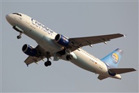 Javier de la Cruz - CANARY ISLANDS SPOTTING. Click to see full size photo