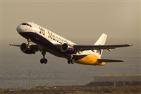 Javier de la Cruz - CANARY ISLANDS SPOTTING. Click to see full size photo