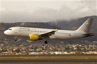 Javier de la Cruz - CANARY ISLANDS SPOTTING. Haz click para ampliar