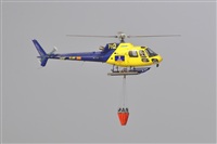 Miguel A. gueda Rguez.  (CANARY ISLANDS SPOTTING). Click to see full size photo