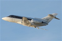 Rodrigo Carvalho - Noisy Spotters. Click to see full size photo