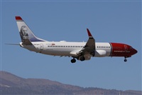 Alfonso Sols - Asociacin Canary Islands Spotting. Haz click para ampliar