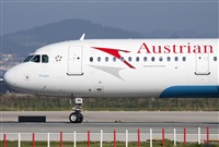 Miguel Alia - Noisy Spotters. Click to see full size photo