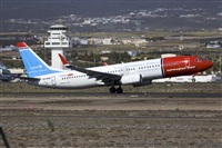 Javier de la Cruz - CANARY ISLANDS SPOTTING. Click to see full size photo