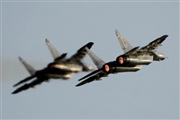Tams. Click to see full size photo