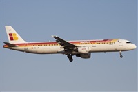 Miguel Alia - Noisy Spotters. Click to see full size photo