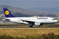 ©Salvador de la Rubia ( Marbella Spotters ). Click to see full size photo ©Salvador de la Rubia ( Marbella Spotters ). Click to see full size photo