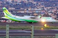 Miguel A. gueda Rguez.  (CANARY ISLANDS SPOTTING). Haz click para ampliar
