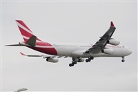 Miguel A. gueda Rguez.  (CANARY ISLANDS SPOTTING). Click to see full size photo