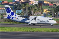 Miguel A. gueda Rguez.  (CANARY ISLANDS SPOTTING). Click to see full size photo