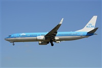 Miguel A. gueda Rguez.  (CANARY ISLANDS SPOTTING). Click to see full size photo