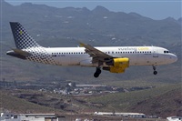 ©Adolfo Bento - Gran Canaria Spotters. Click to see full size photo ©Adolfo Bento - Gran Canaria Spotters. Click to see full size photo