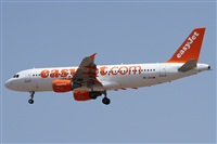 ©Alfonso Solís - Asociación Canary Islands Spotting. Click to see full size photo ©Alfonso Solís - Asociación Canary Islands Spotting. Click to see full size photo
