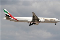 Rubn Gil - Noisy Spotters. Click to see full size photo