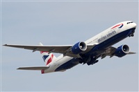 Rubn Gil - Noisy Spotters. Click to see full size photo