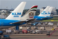 Miguel Alia - Noisy Spotters. Click to see full size photo