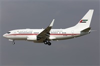 Miguel Alia - Noisy Spotters. Click to see full size photo