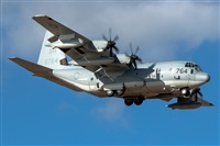 Bartolom Fernndez - Gran Canaria Spotters. Click to see full size photo