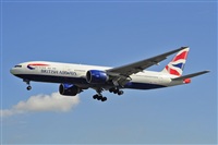 Miguel A. gueda Rguez.  (CANARY ISLANDS SPOTTING). Click to see full size photo